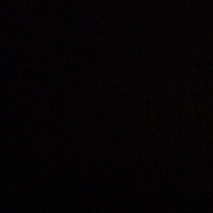 Meet your Posher, Rayna